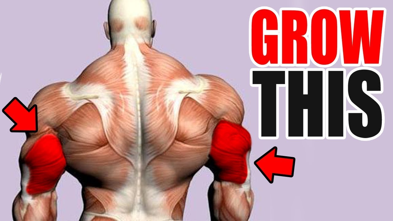 3 Best Exercises for BIG TRICEPS!