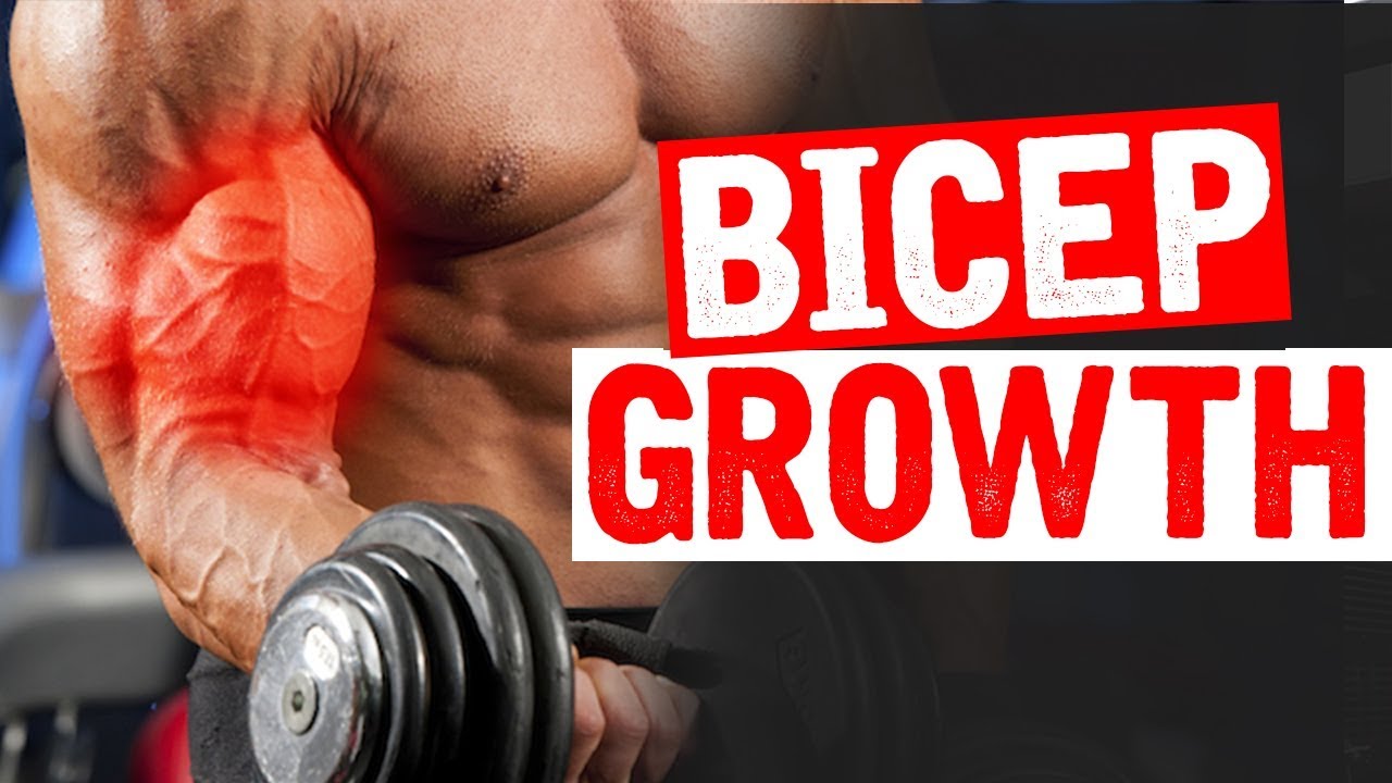 One Bicep Exercise your NOT doing (BUT SHOULD!)