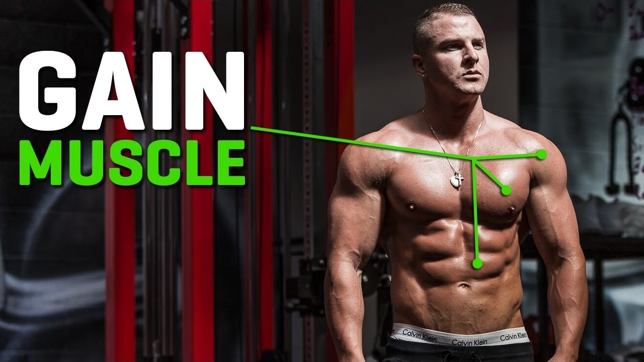 6 Tips for Gaining Muscle FAST