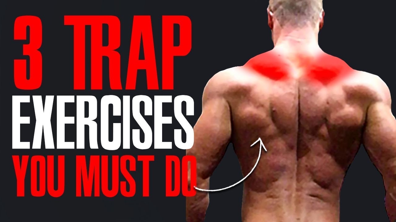 MUST DO EXERCISES! (TRAPS!)