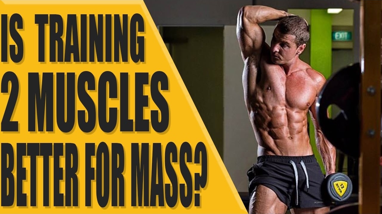 Is training 2 muscles better for mass