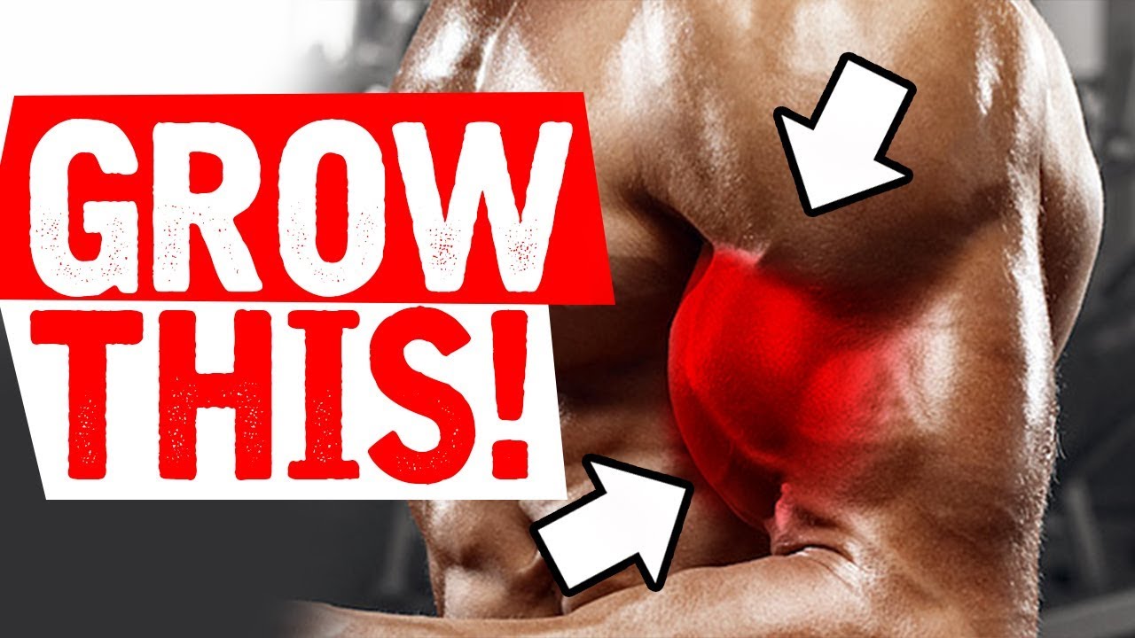 The BEST way to Build your BICEPS!