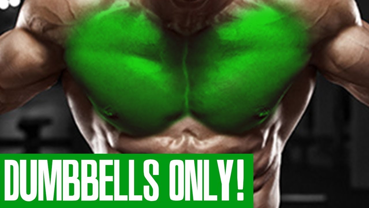 CHEST WORKOUT! (DUMBBELLS ONLY!)