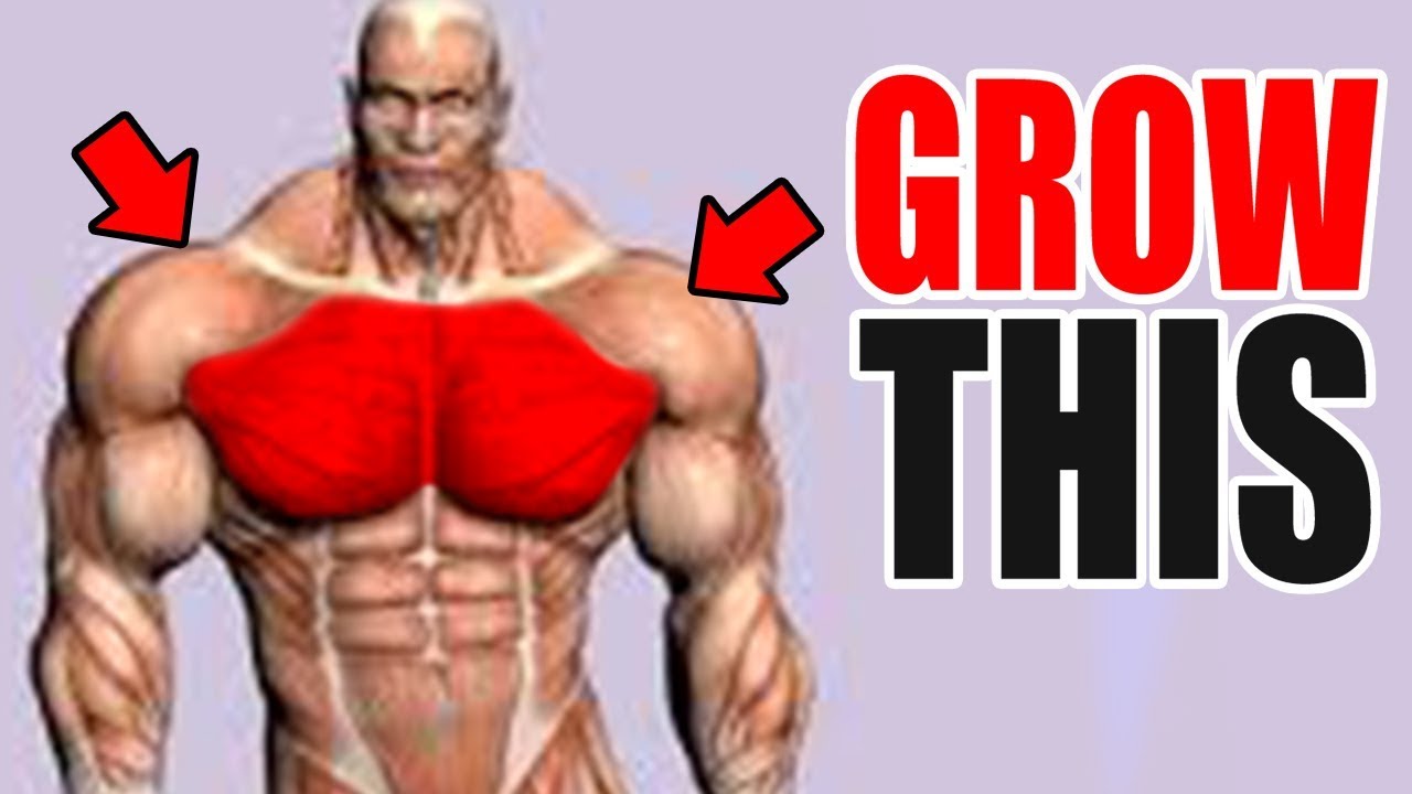 3 Best Exercises for a BIG CHEST!