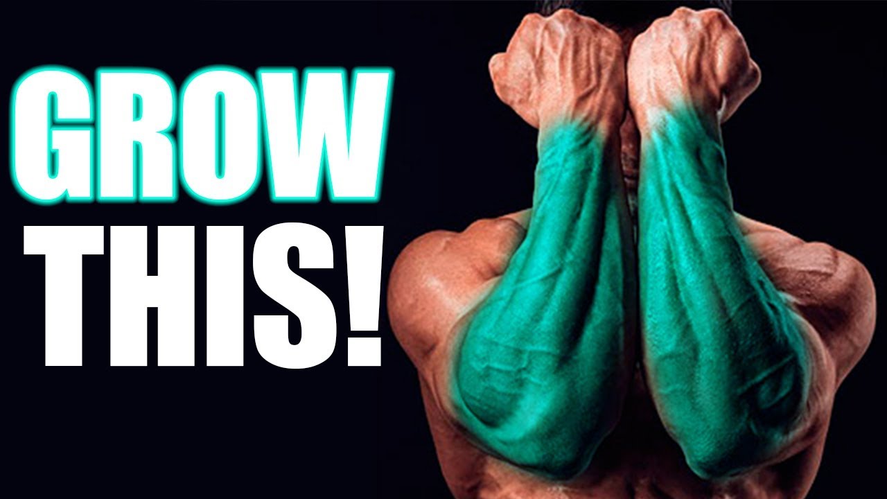 The BEST way to Build your FOREARMS!