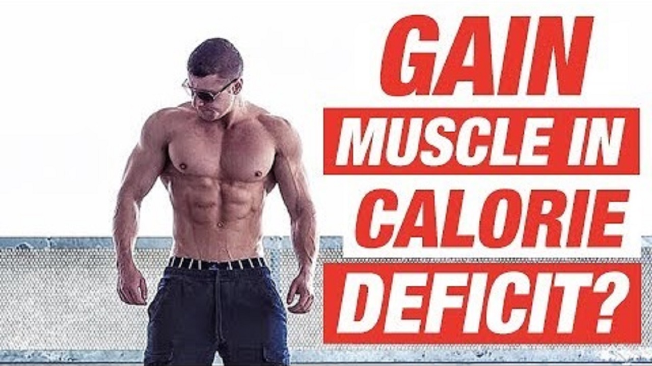 Can you gain Muscle in a CALORIE DEFICIT