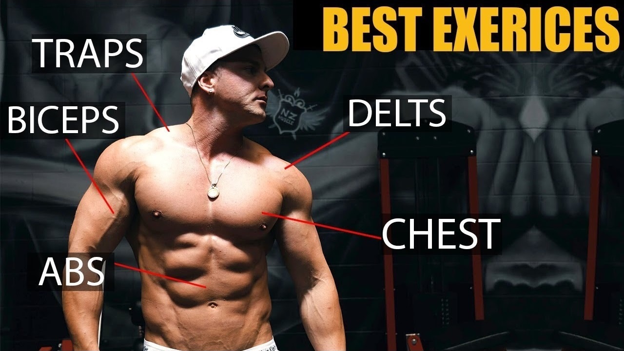 THE BEST EXERCISES FOR GROWTH Chest Back Arms MORE Vitruvian Physique