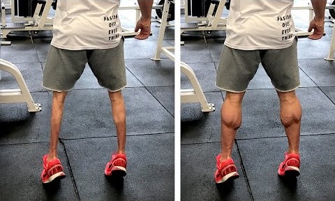 Calf Workout | NO MORE CHICKEN LEGS!