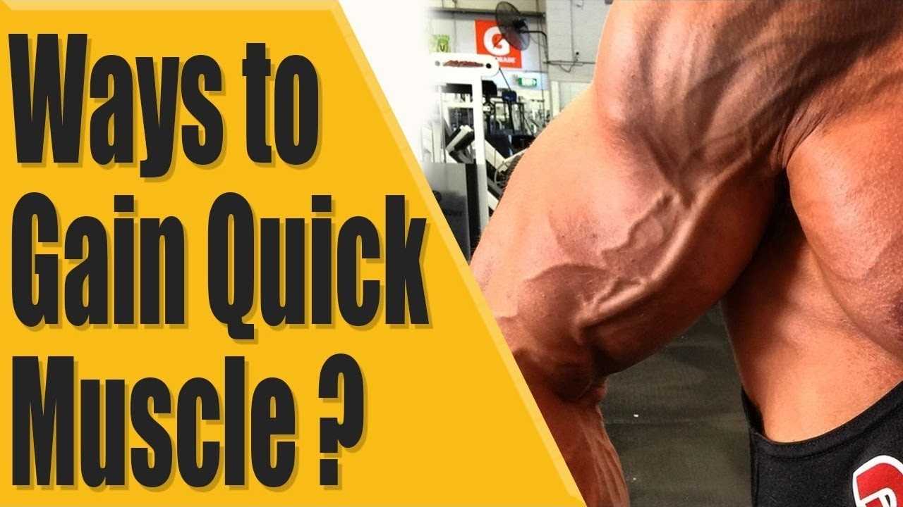How to gain quick Muscle