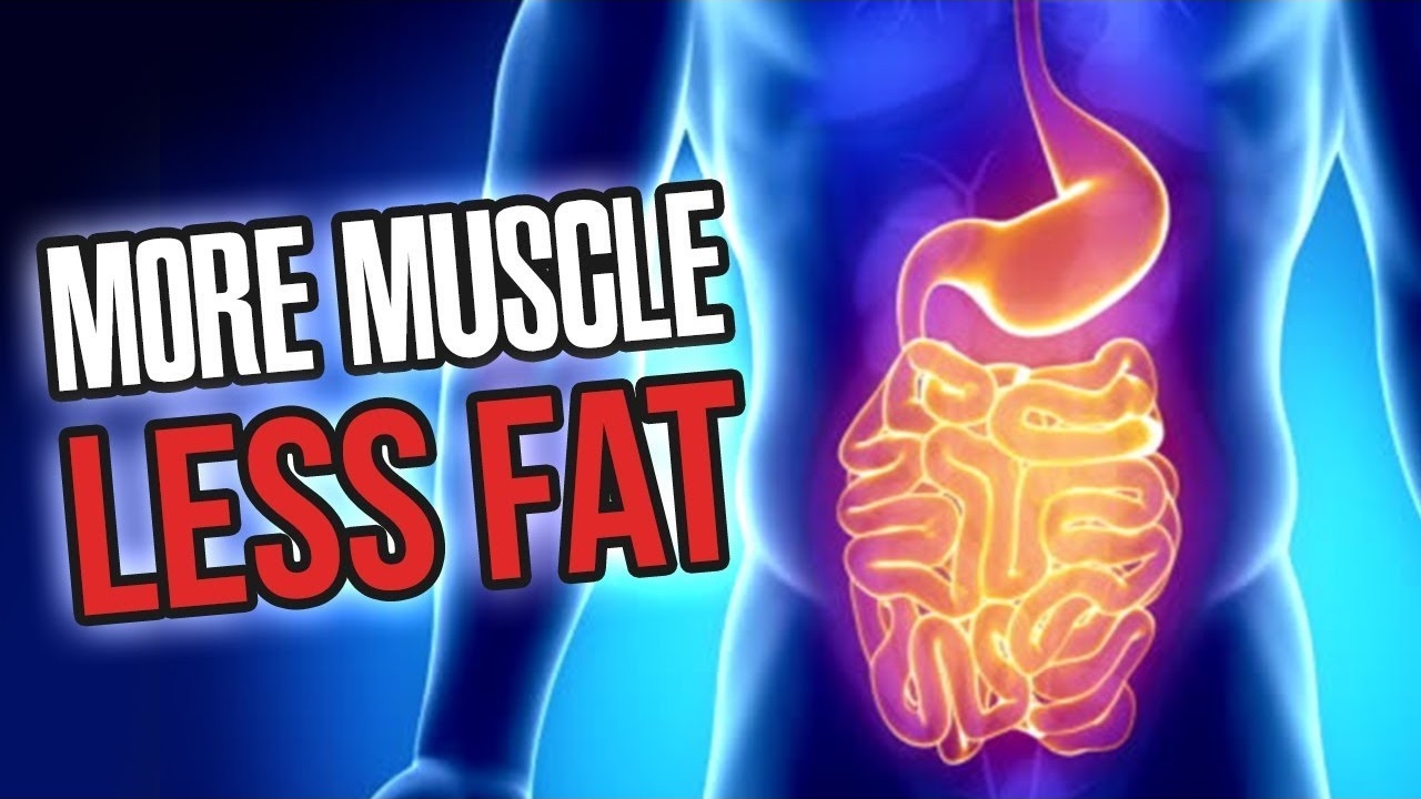 5 Tips for Better Digestion More Muscle Growth Better Fat Loss