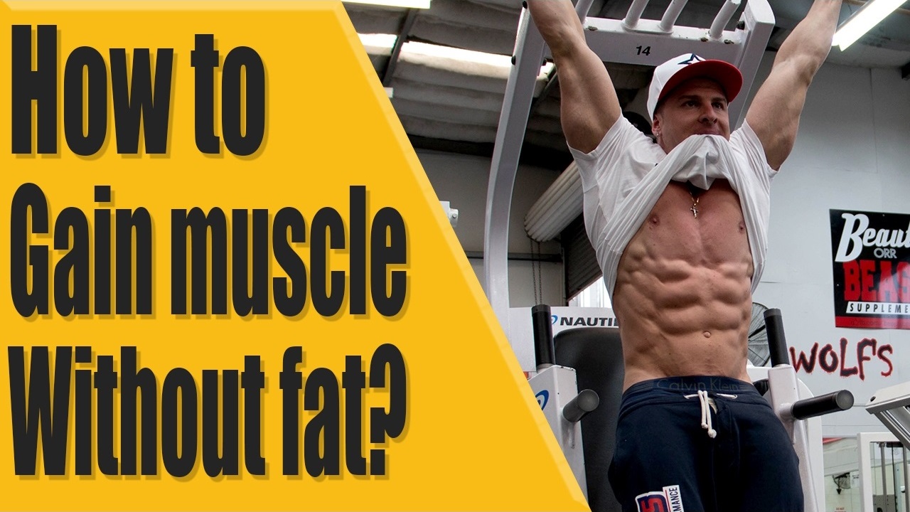 How to gain muscle without fat