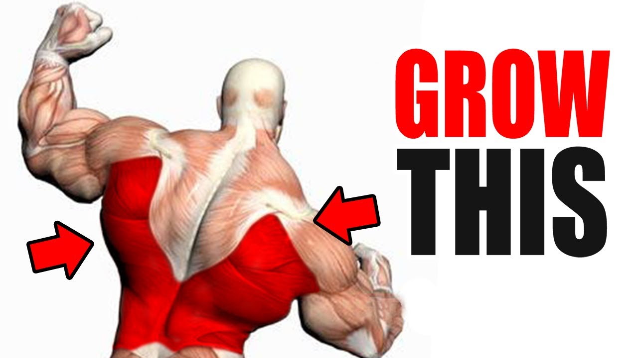 3 Best Exercises for a BIG BACK!