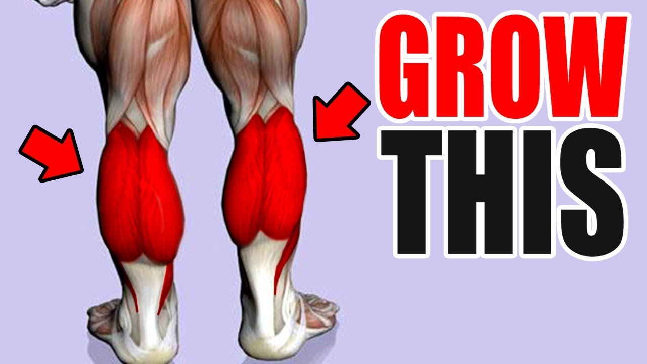 3 Best Exercises for BIG CALFS!