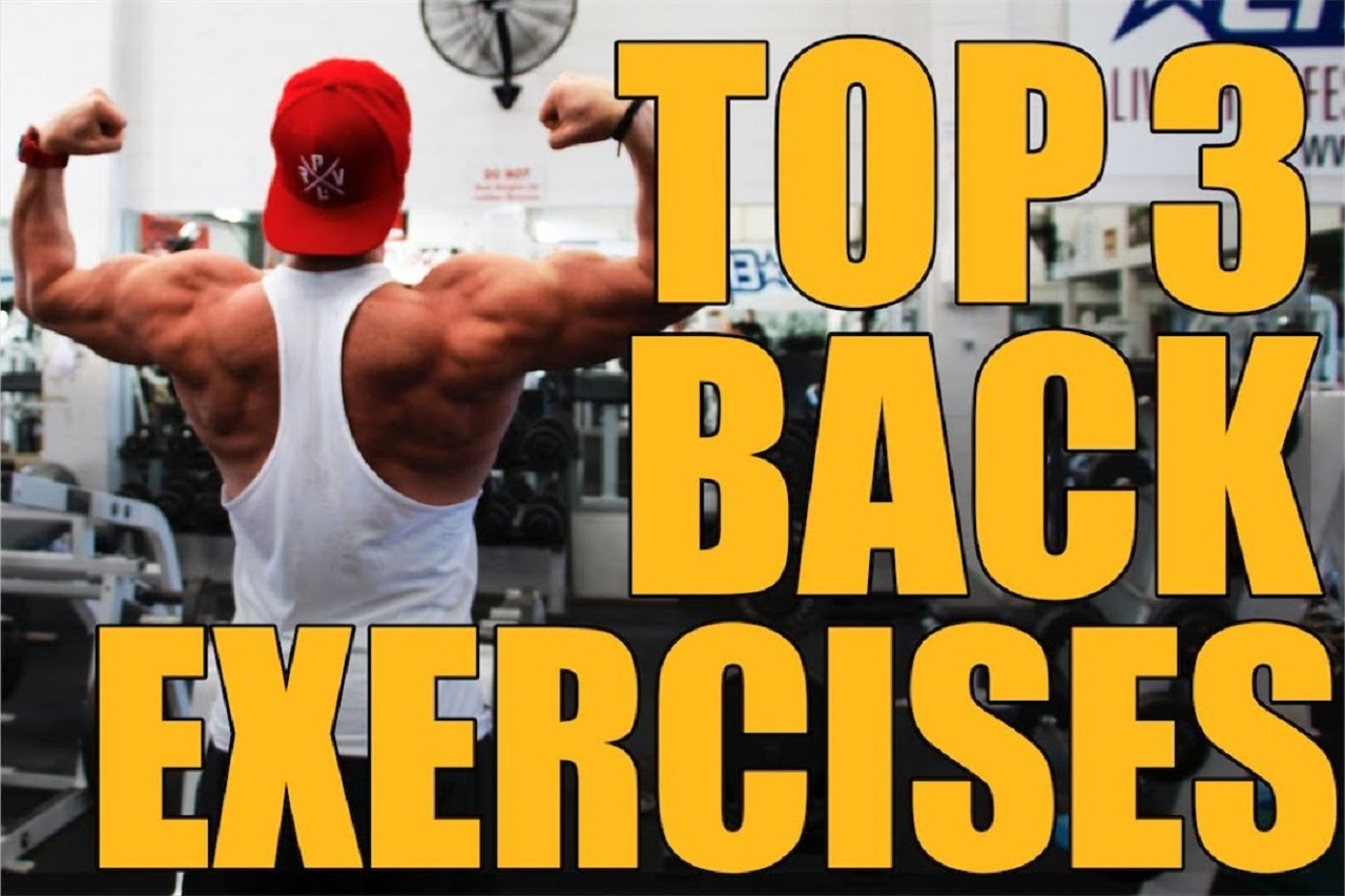 TOP 3 BACK EXERCISES