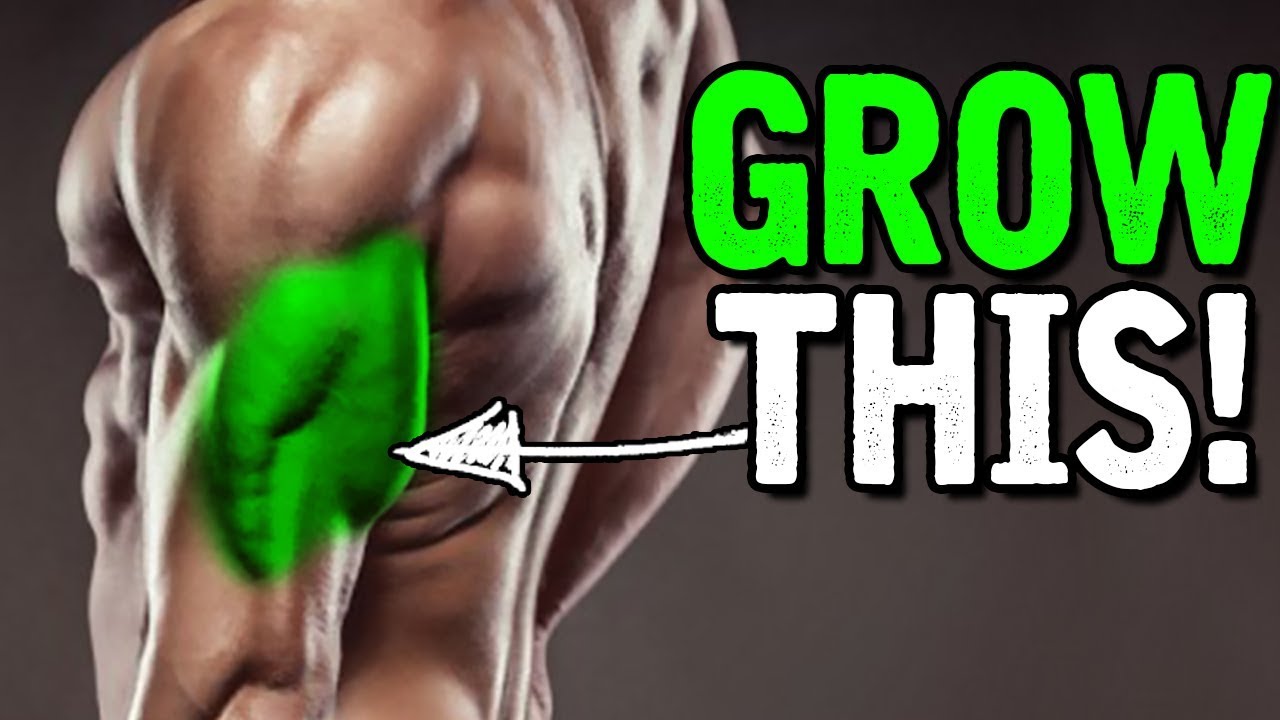 The BEST way to Build your TRICEPS!