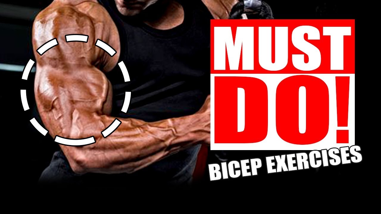 BIGGER BICEPS! Why Aren't You Doing These Exercises?
