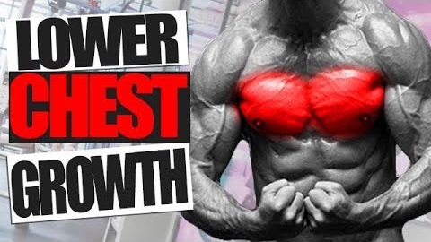 How to GROW your Lower Chest! (Try this Workout!)