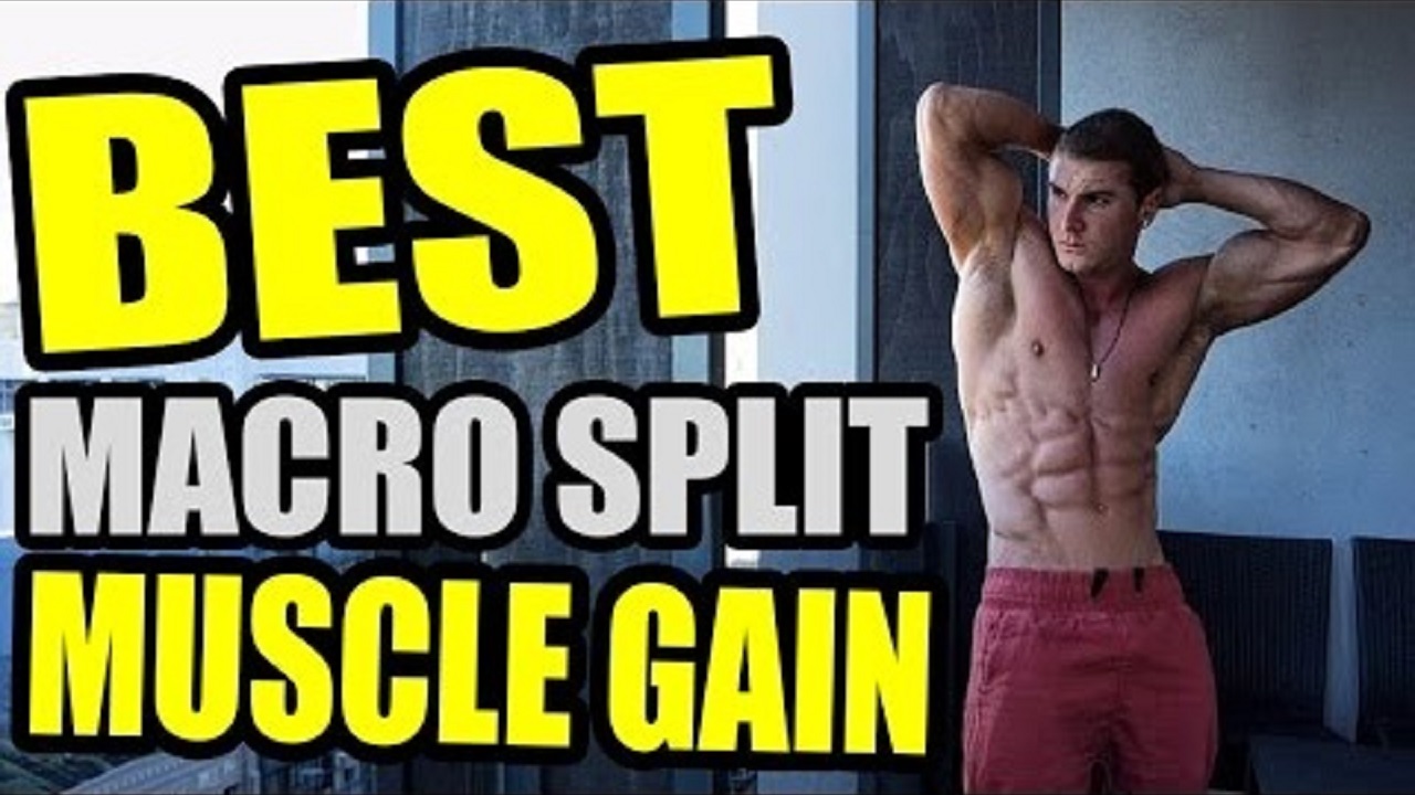 BEST macro split for MUSCLE GAIN