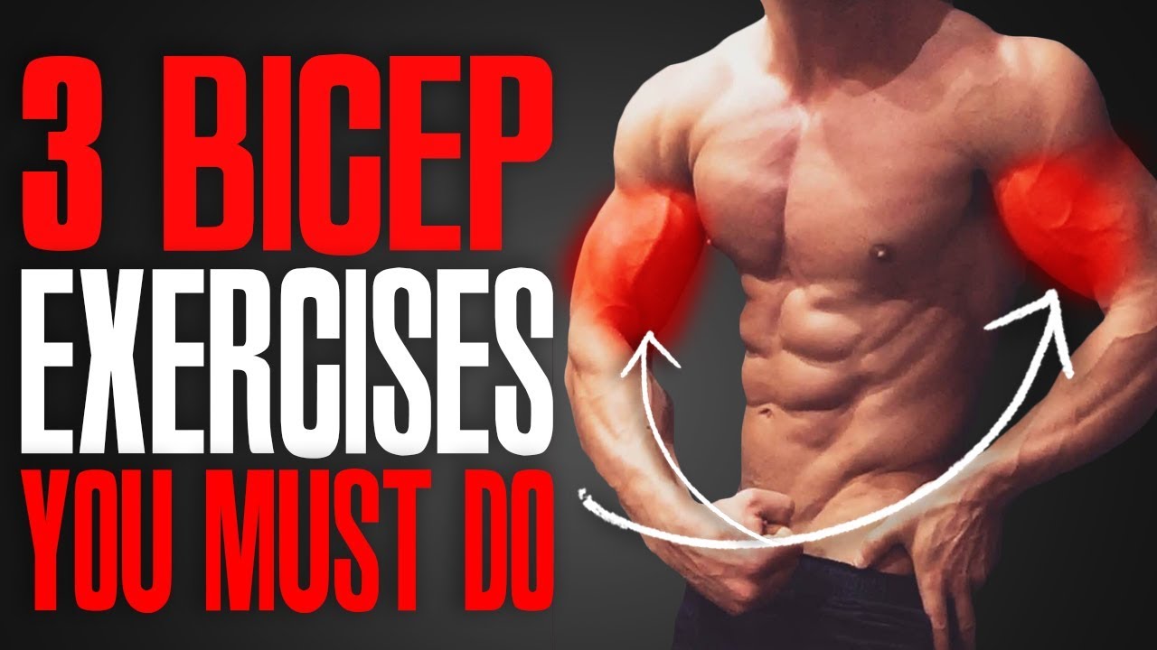 MUST DO EXERCISES! (BICEPS!)