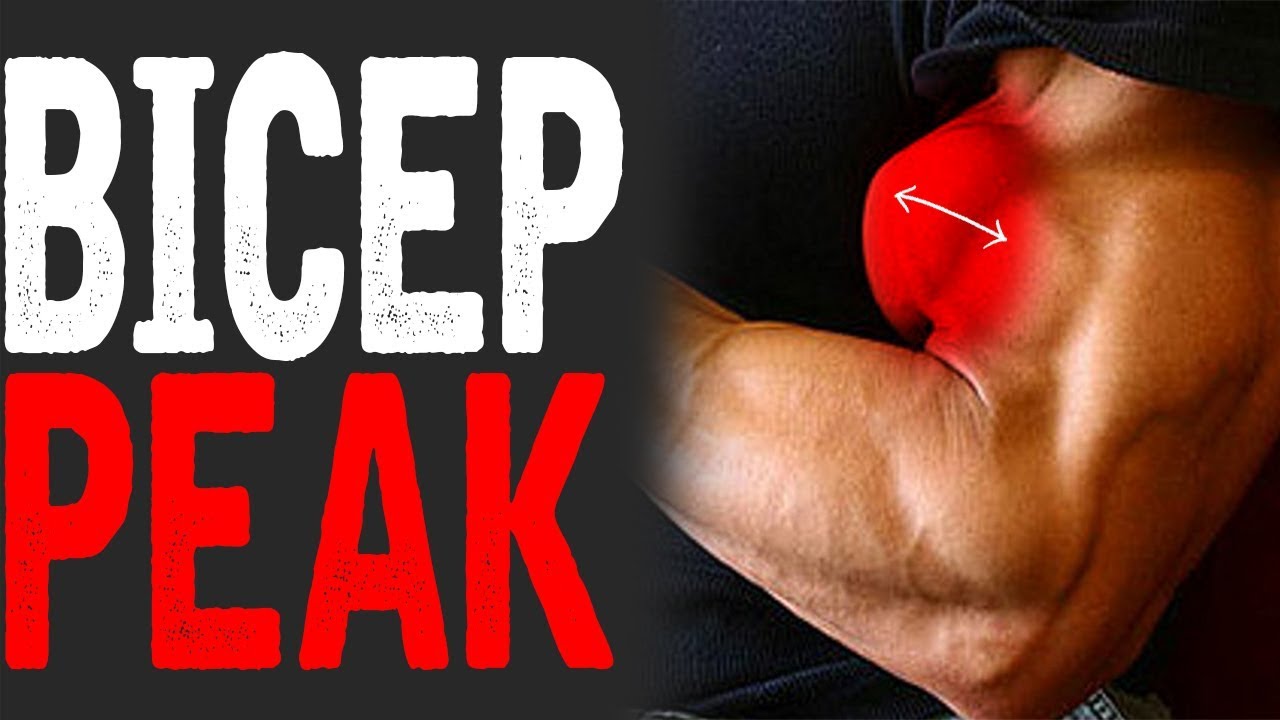 3 EXERCISES TO BUILD THE BICEP PEAK!