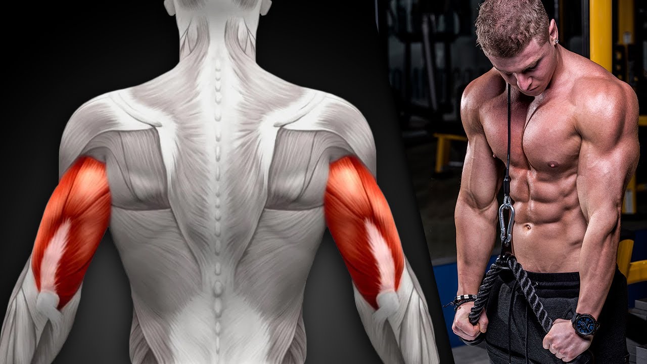 HOME TRICEPS WORKOUT! (GROWTH TIPS!)