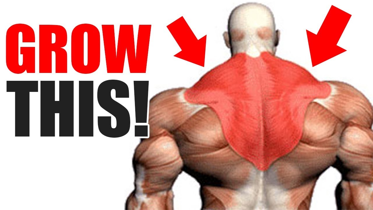 3 Best Exercises for BIG TRAPS!
