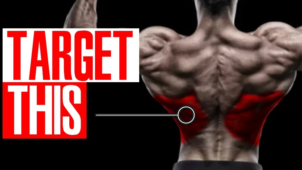 3 Exercises For The LOWER LATS! (Better V-Taper!)