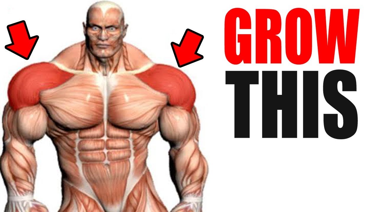 3 Best Exercises for BIG SHOULDERS!