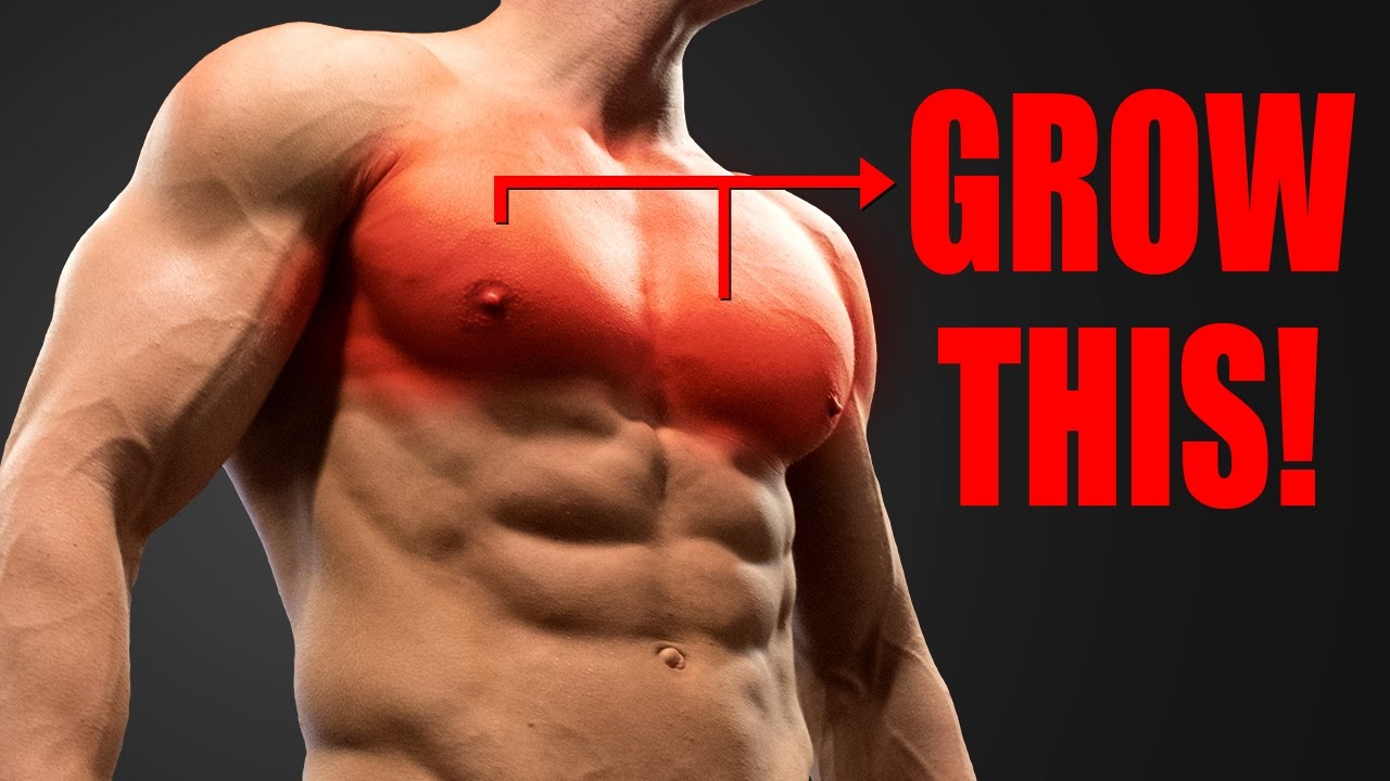 CHEST WORKOUT (MACHINES ONLY!)