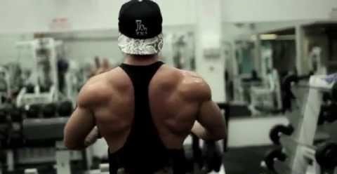 Back Workout