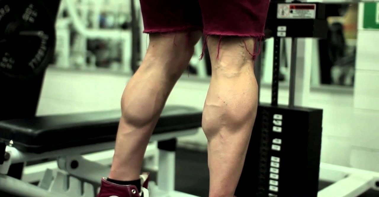 Training Calfs