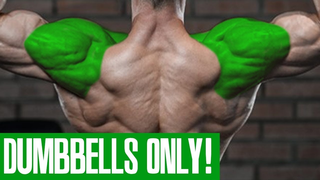 SHOULDER WORKOUT! (DUMBBELLS ONLY!)