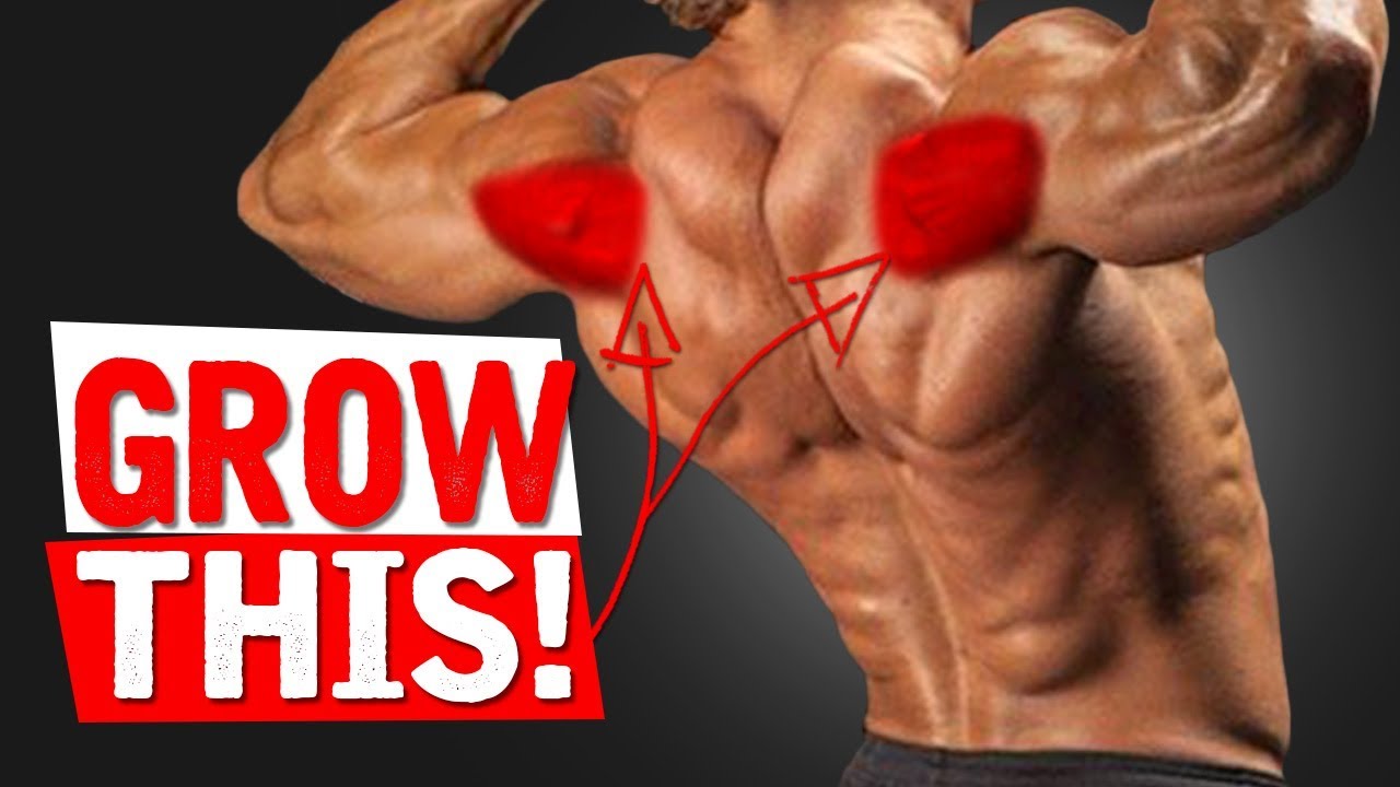 The BEST Exercises for REAR DELTS!!