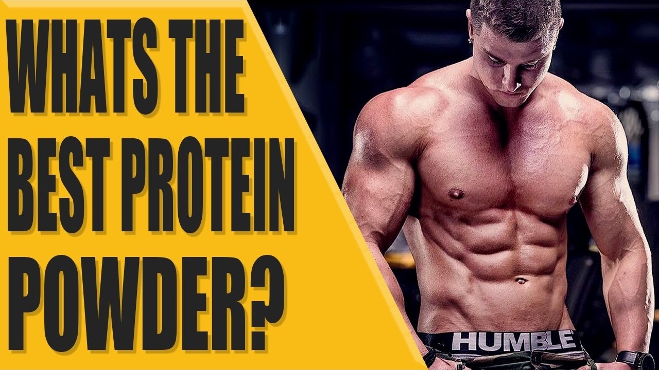 Whats the best protein power